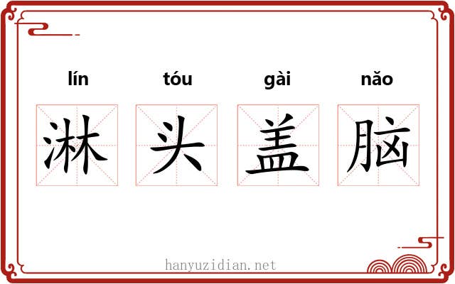 淋头盖脑 淋头盖脑