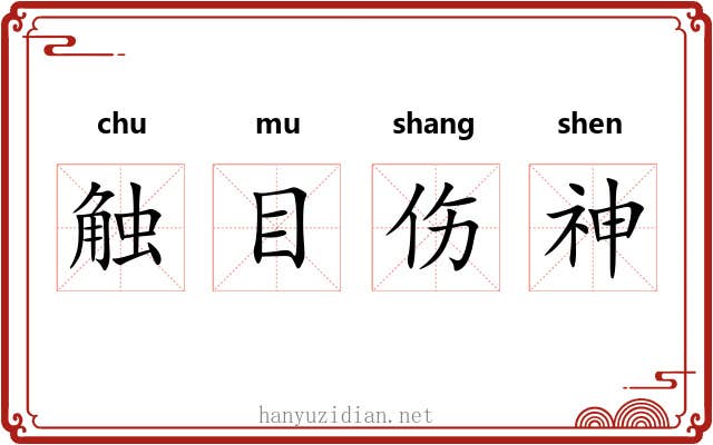 触目伤神