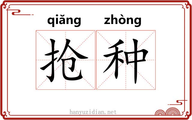 抢种 抢种