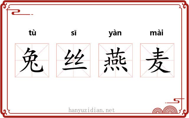 兔丝燕麦 兔丝燕麦