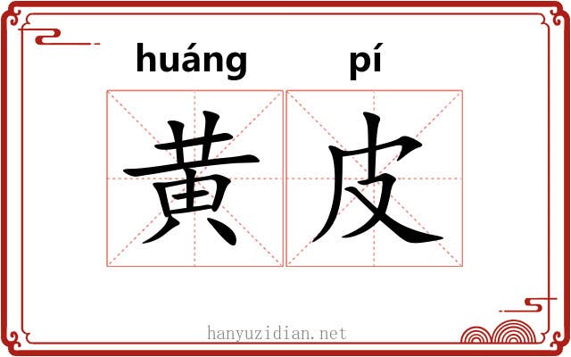 黄皮 黄皮