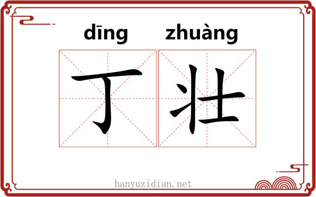 丁壮 丁壮