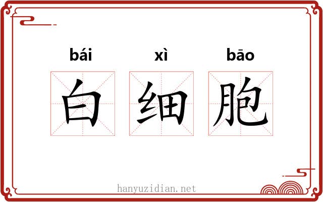 白细胞 白细胞