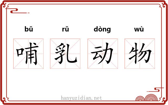 哺乳动物