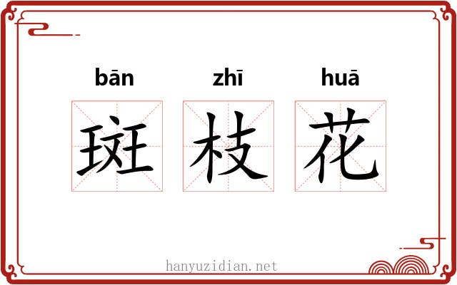 斑枝花 斑枝花