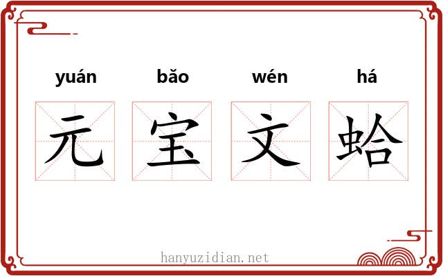 元宝文蛤
