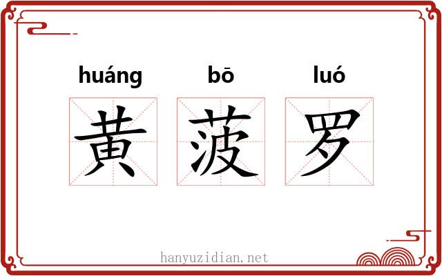 黄菠罗 黄菠罗