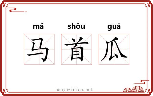马首瓜 马首瓜