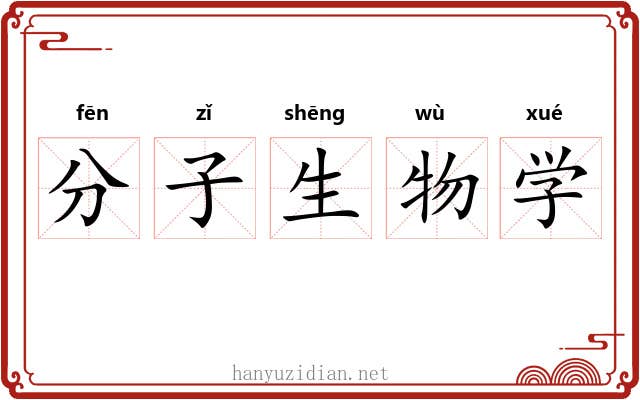 分子生物学 分子生物学