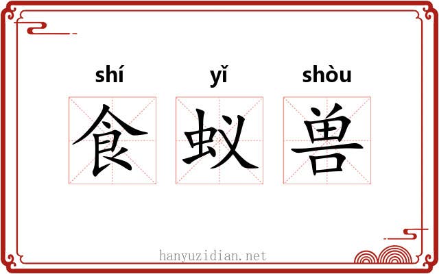 食蚁兽 食蚁兽