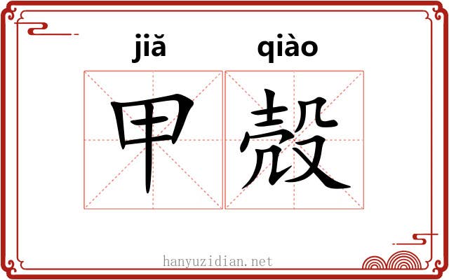甲殻 甲殻