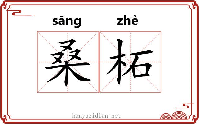桑柘
