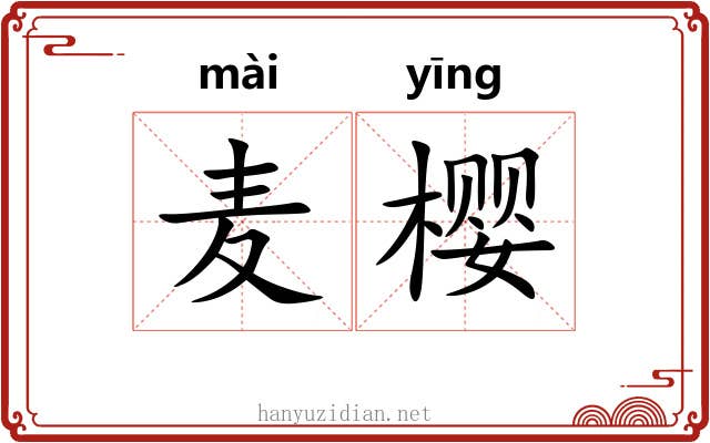 麦樱