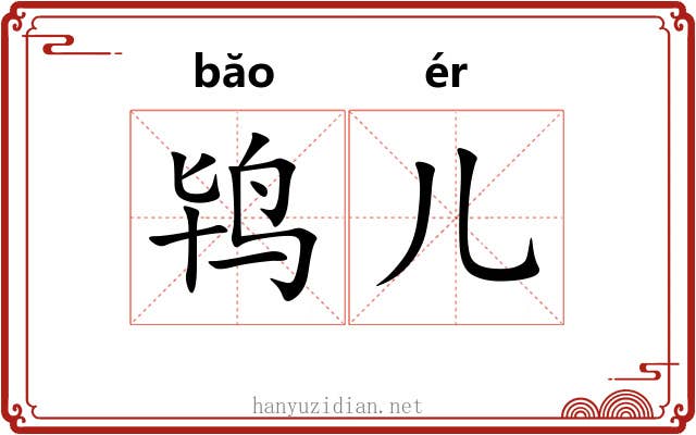 鸨儿