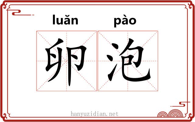 卵泡 卵泡