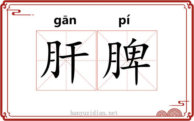 肝脾