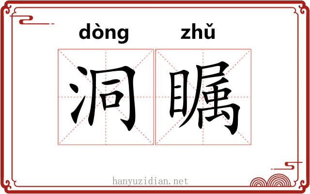 洞瞩