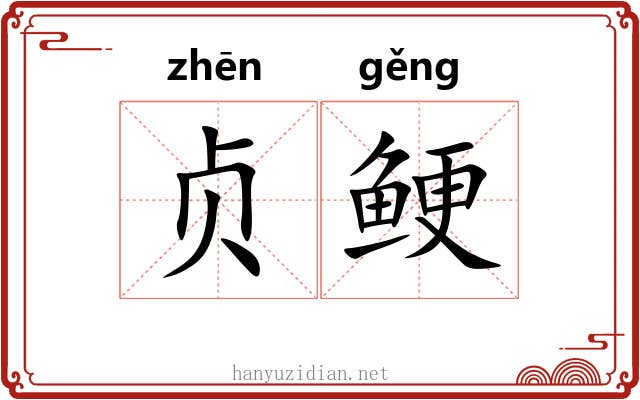 贞鲠