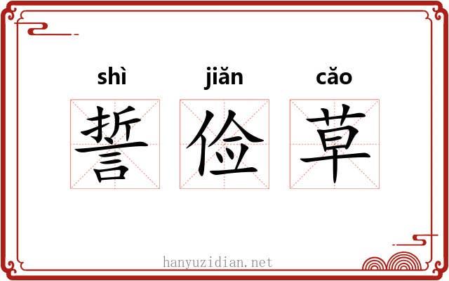 誓俭草 誓俭草