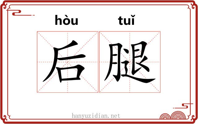 后腿
