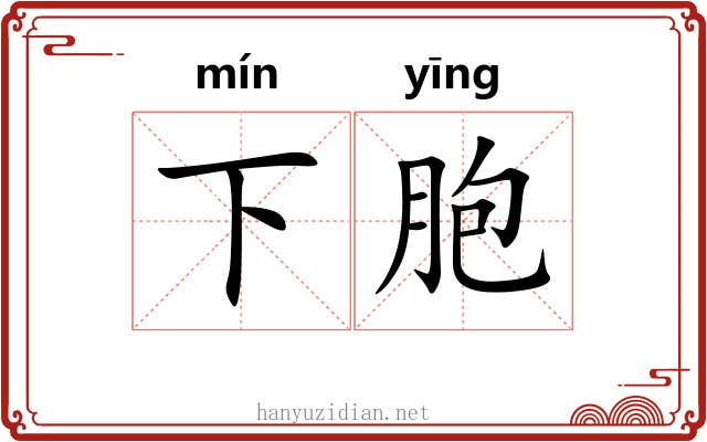 下胞 下胞