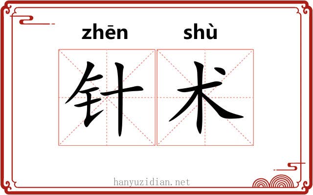 针术 针术