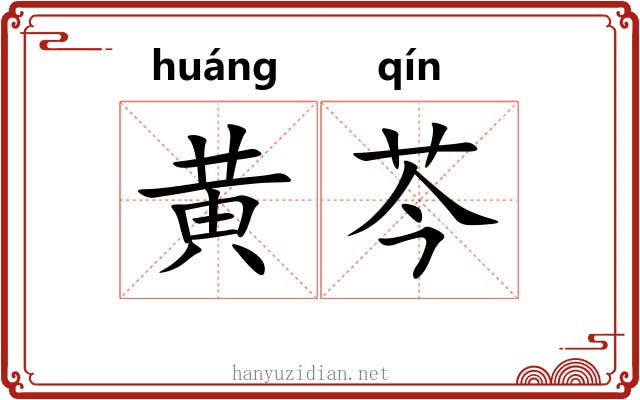 黄芩