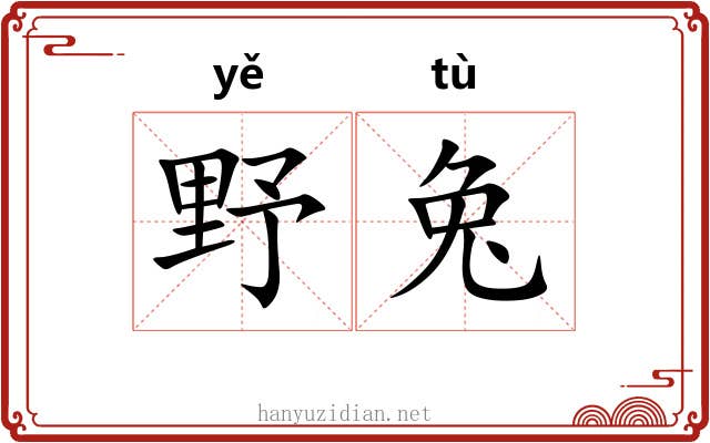 野兔 野兔
