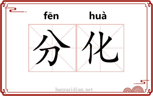 分化