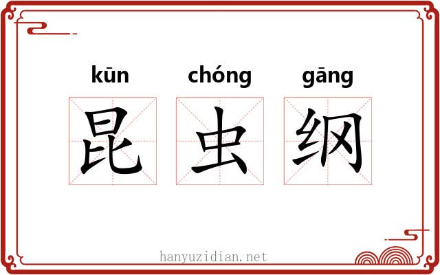 昆虫纲