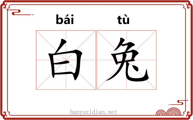白兔 白兔