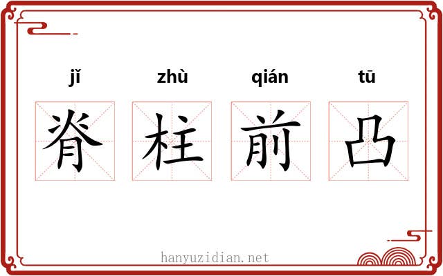 脊柱前凸 脊柱前凸