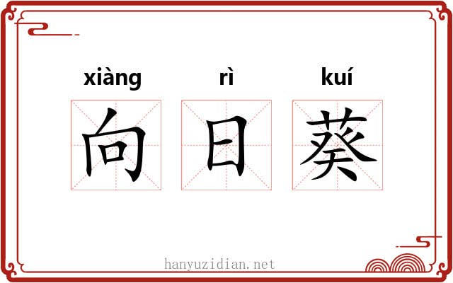 向日葵