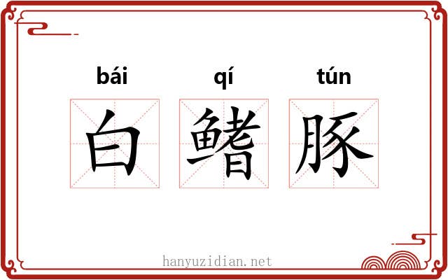 白鳍豚 白鳍豚