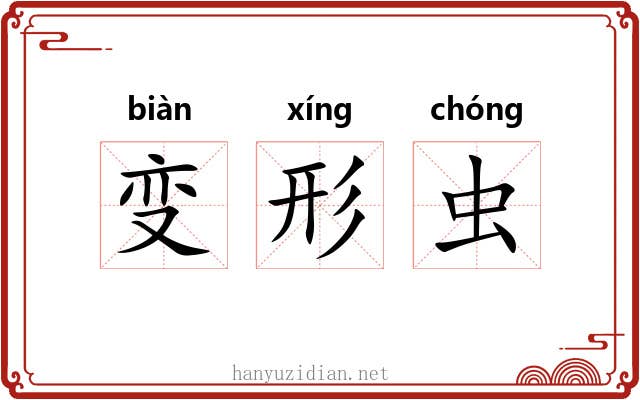 变形虫 变形虫