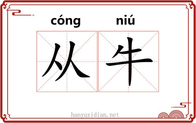 从牛