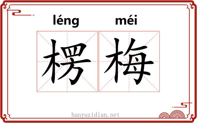 楞梅