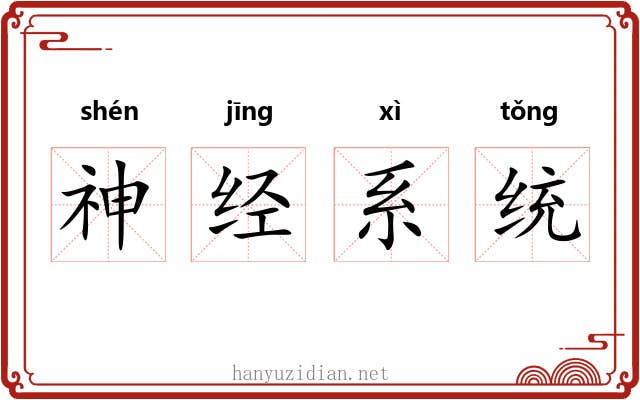 神经系统 神经系统