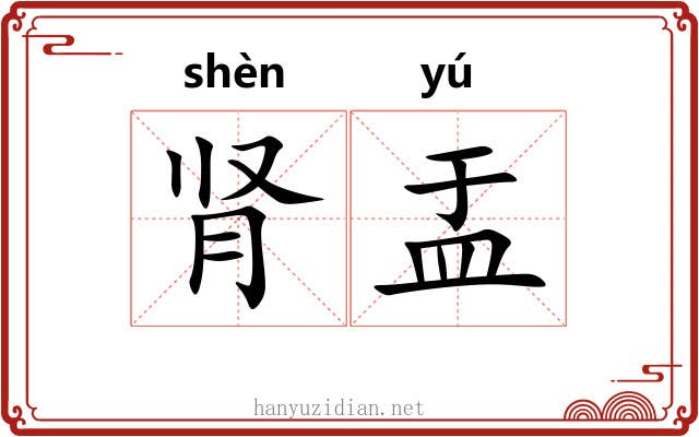肾盂