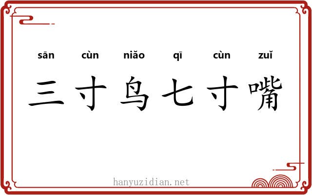 三寸鸟七寸嘴 三寸鸟七寸嘴