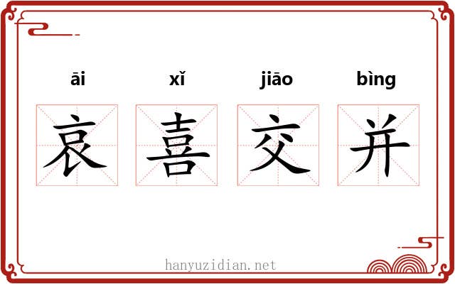 哀喜交并 哀喜交并