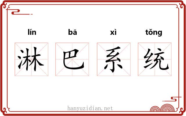 淋巴系统 淋巴系统