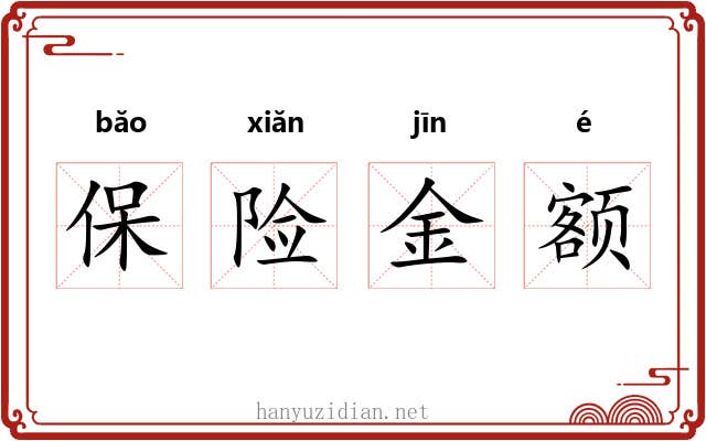 保险金额 保险金额