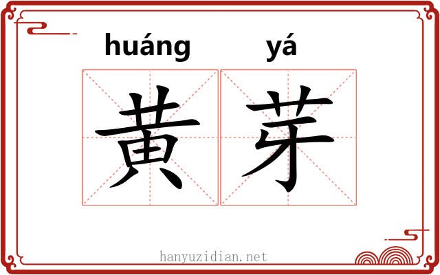 黄芽 黄芽