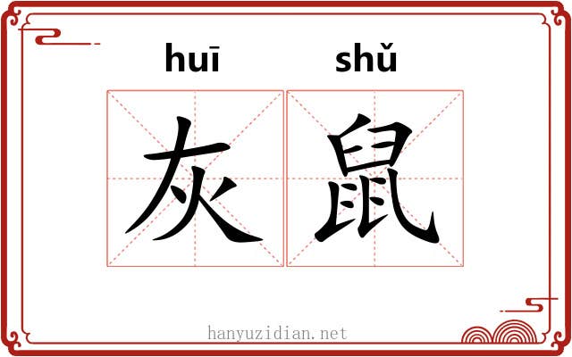灰鼠