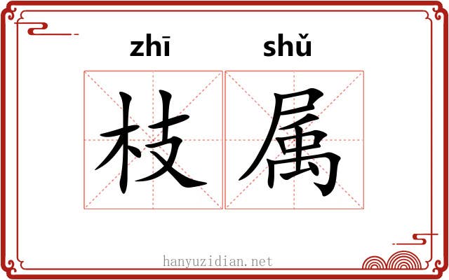 枝属 枝属