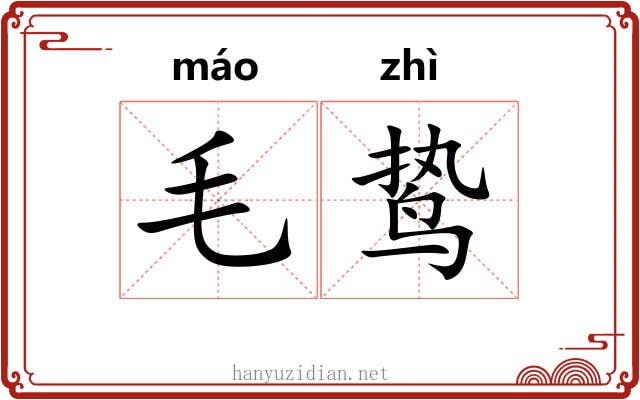 毛鸷
