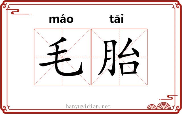 毛胎