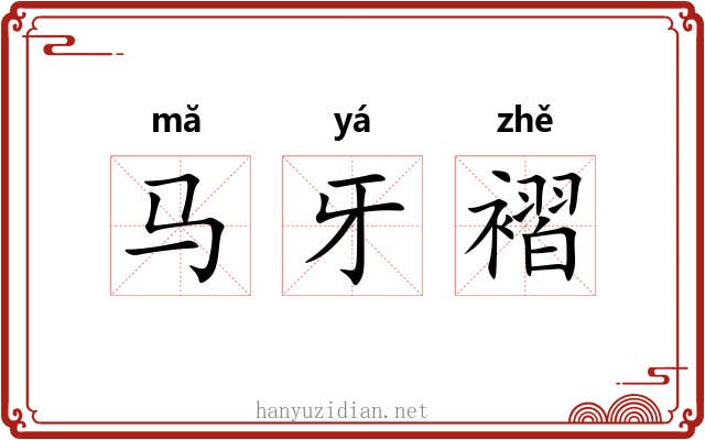 马牙褶