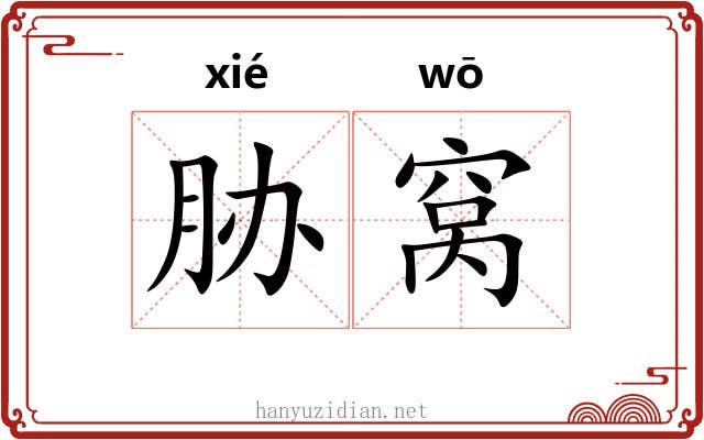 胁窝 胁窝